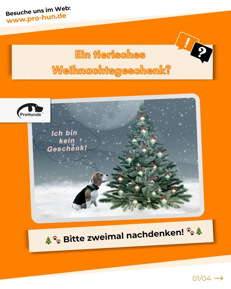 Tiere sind keine Weihnachtsgeschenke!